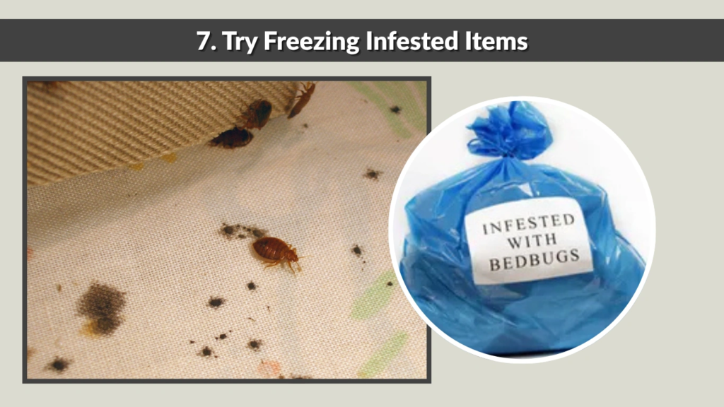 7. Try Freezing Infested Items