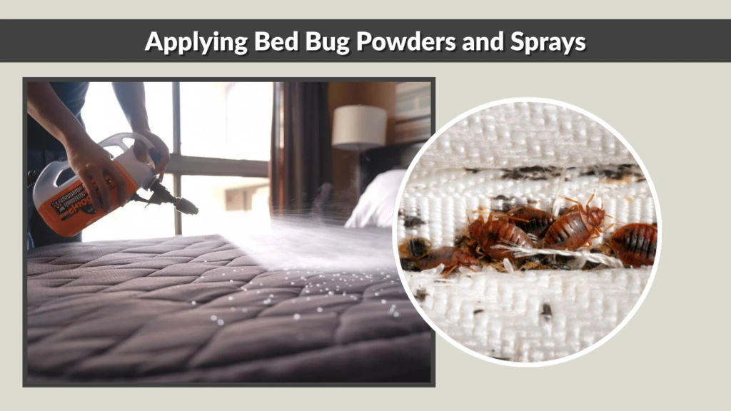 Applying Bed Bug Powders and Sprays