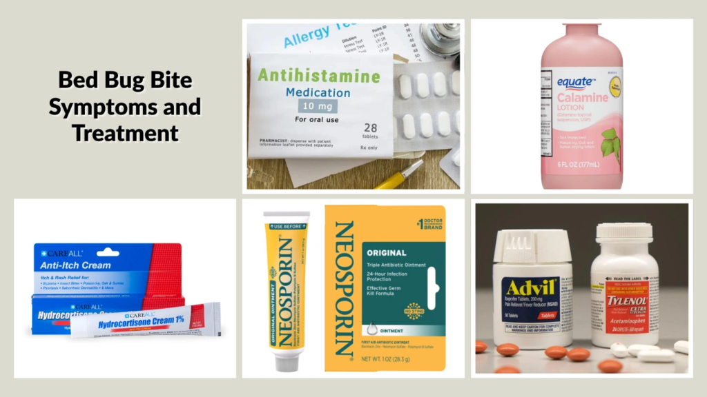 Bed Bug Bite Symptoms and Treatment