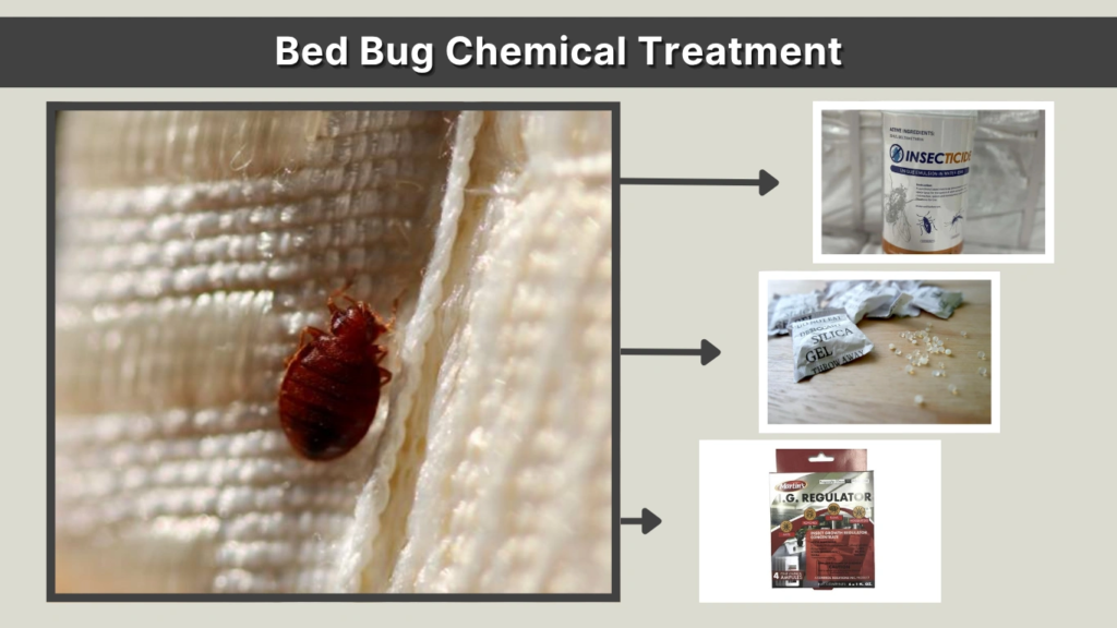 Bed Bug Chemical Treatment