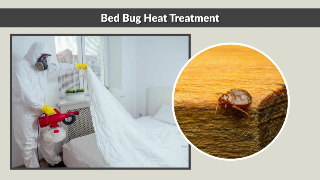 Bed Bug Heat Treatment