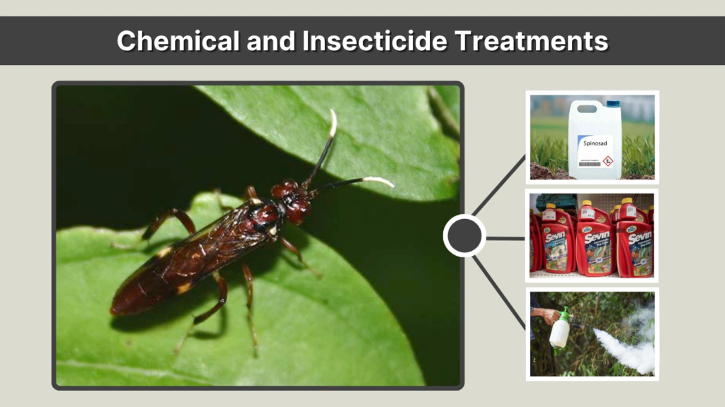 Chemical and Insecticide Treatments