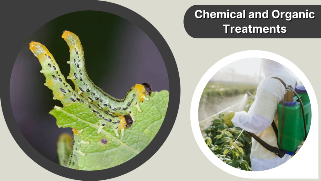 Chemical and Organic Treatments