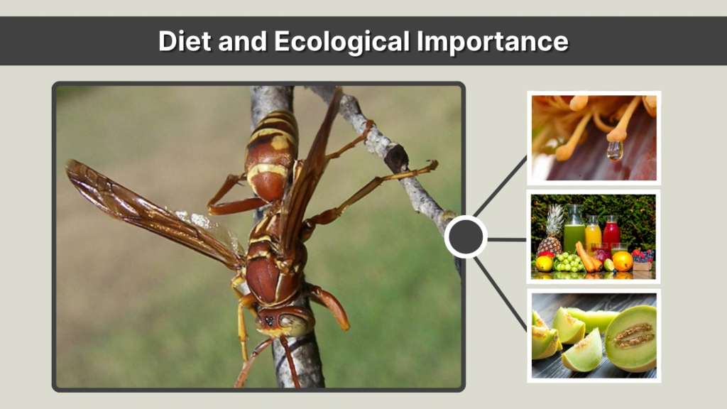 Diet and Ecological Importance