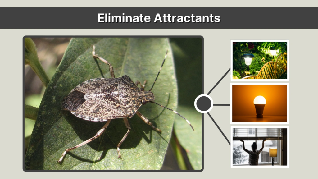 Eliminate Attractants