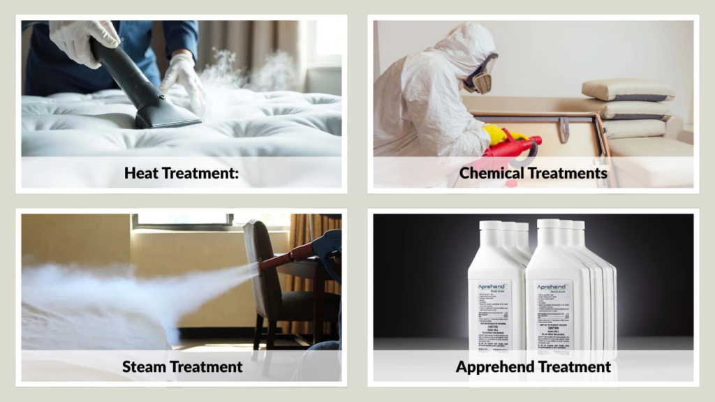 Types of Bed Bug Treatments