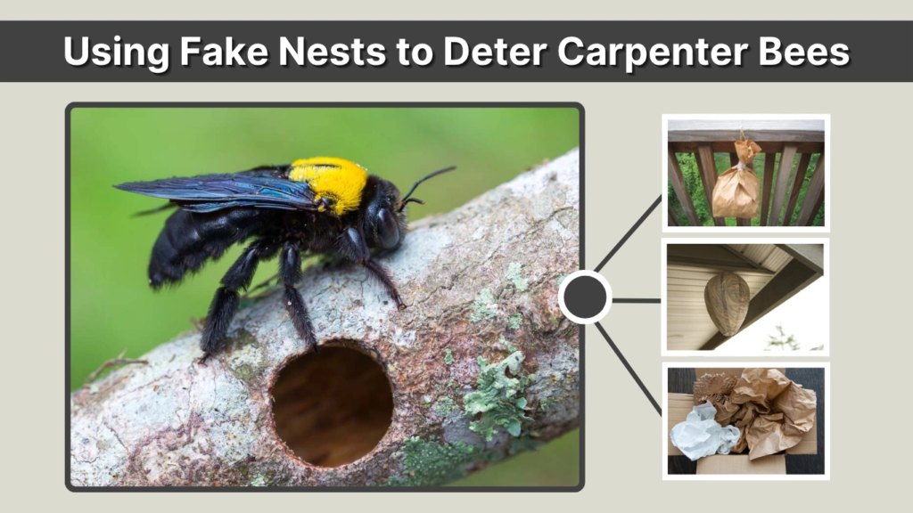 Using Fake Nests to Deter Carpenter Bees