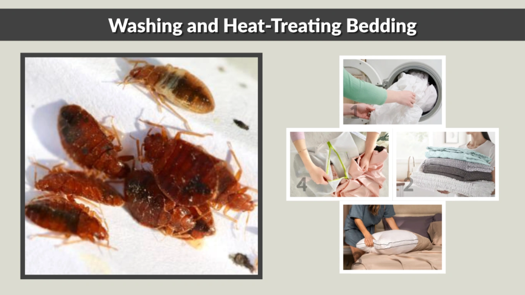 Washing and Heat-Treating Bedding