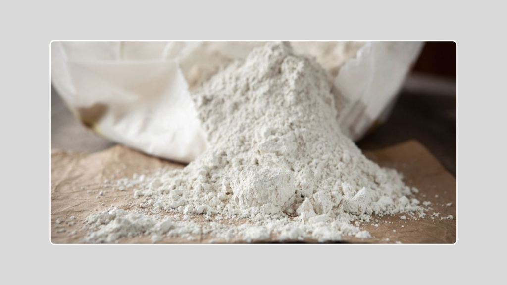 Diatomaceous Earth (DE)