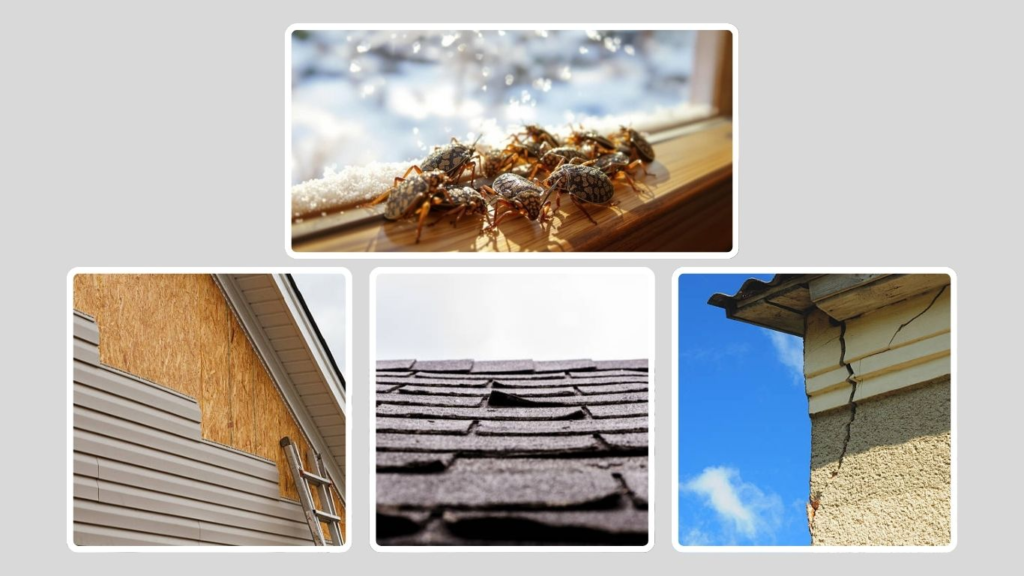 Habitat and Indoor Invasions