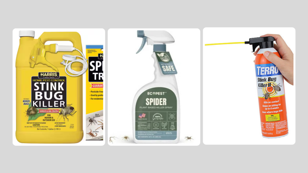 Control and Prevention