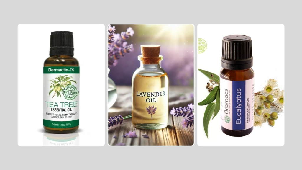 Natural Alternatives for Killing Bed Bugs and Their Eggs