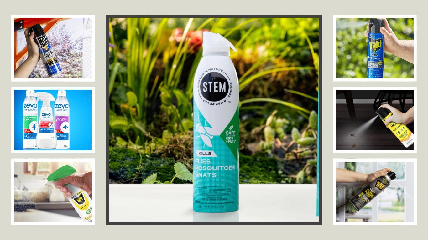 10 Best Fruit Fly Killer Sprays for Indoors and Outdoors