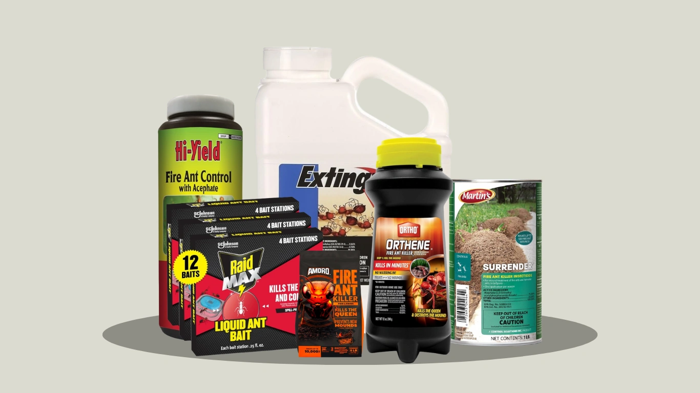 11 Best Fire Ant Killers for Indoor and Outdoor Use