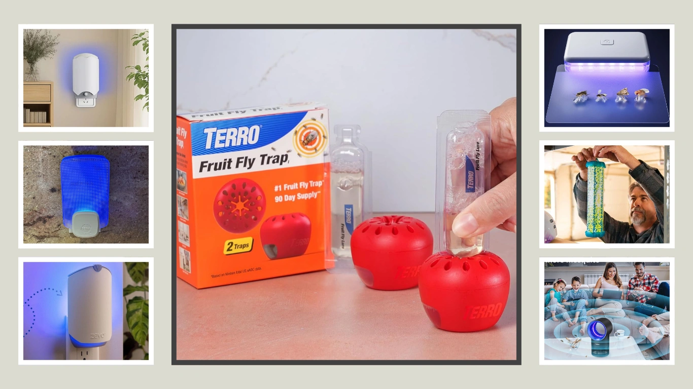 13 Best Fruit Fly Traps for Indoors That Actually Work