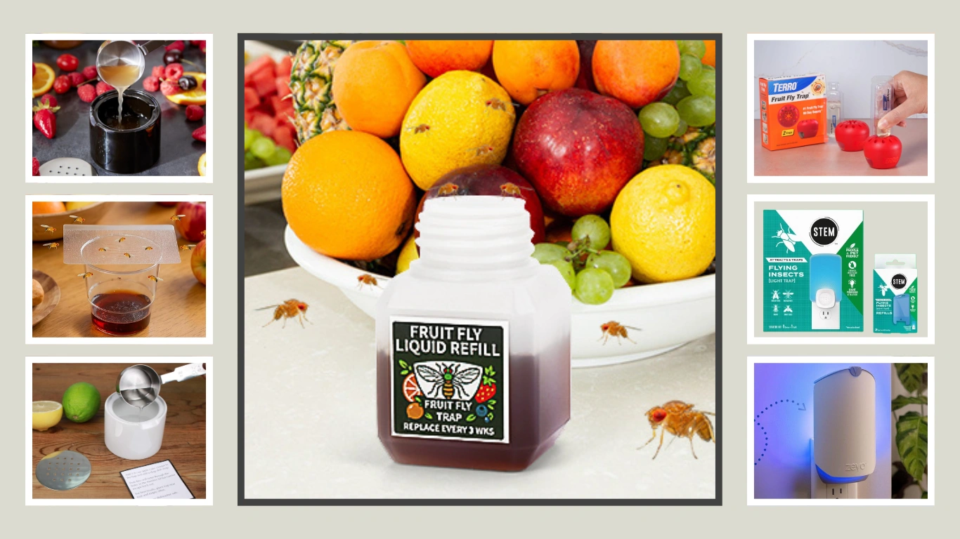 7 Best Fruit Fly Traps for Indoors Kitchen: That Actually Work 