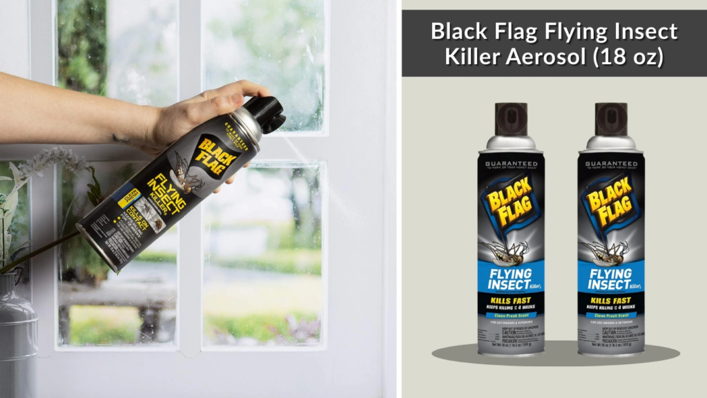 Black Flag Flying Insect Killer Aerosol (18 oz)