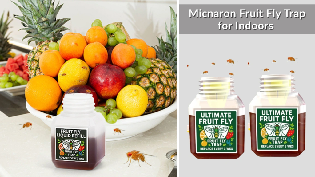 Micnaron Fruit Fly Trap for Indoors