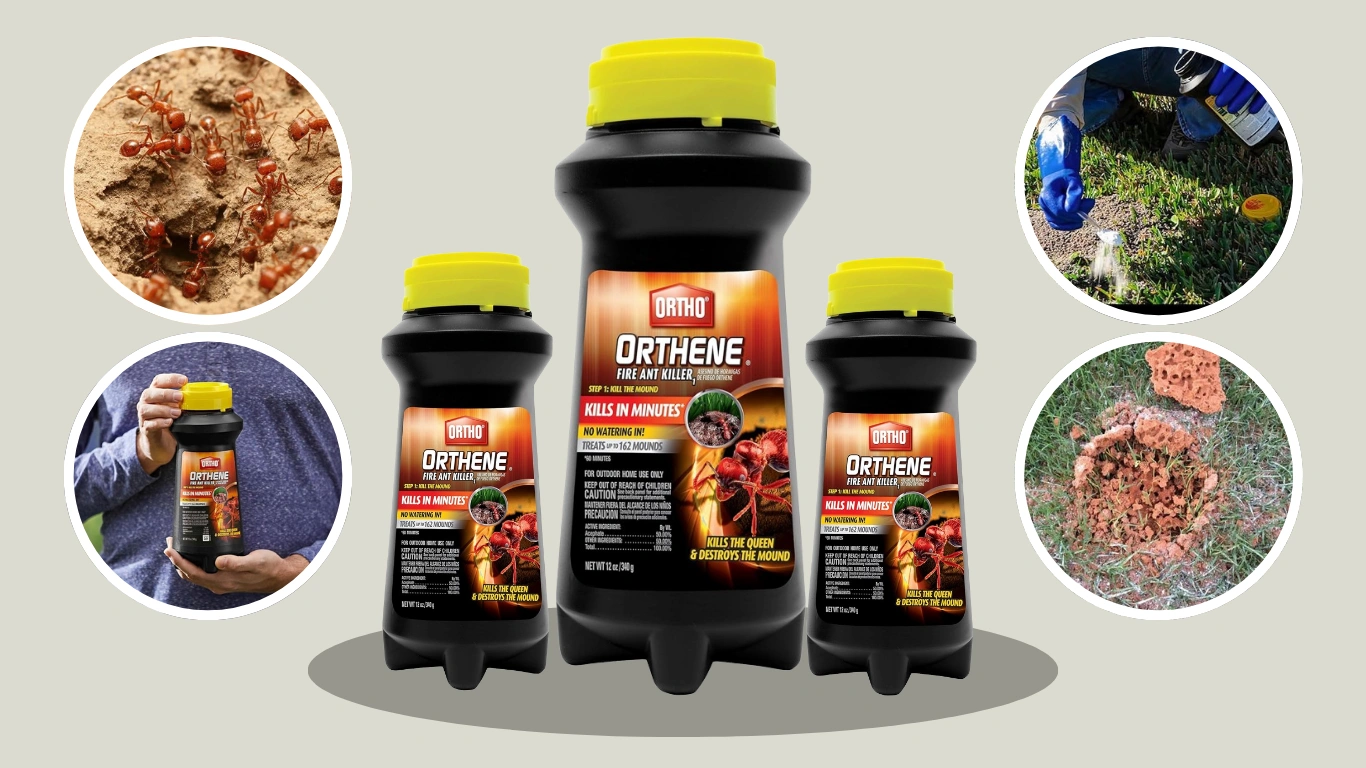 Orthene Fire Ant Killer Review Fast Control for Tough Mounds
