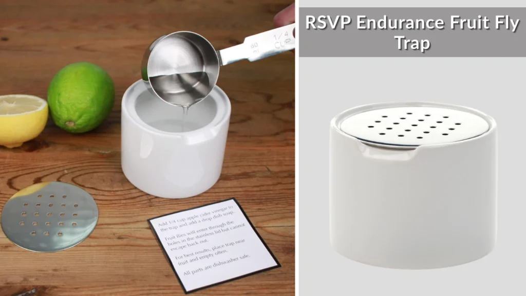RSVP Endurance Fruit Fly Trap