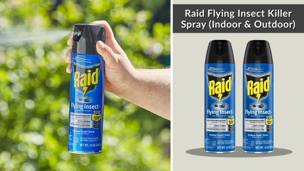 Raid Flying Insect Killer Spray (Indoor & Outdoor)