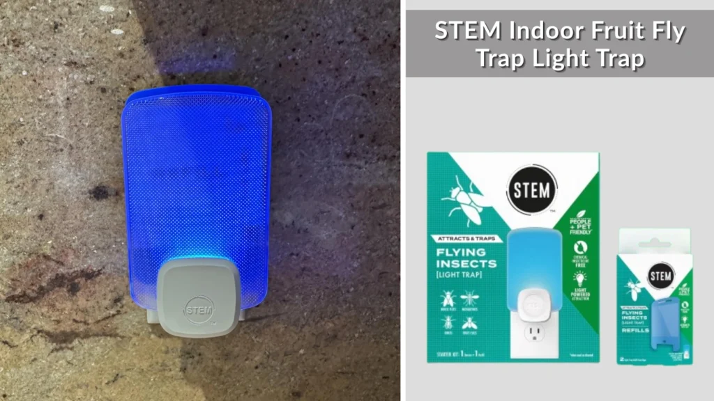 STEM Insect Trap - Indoor Fruit Fly & Gnat Pest Control for House, Home and Kitchen, Attracts & Traps Flying Bugs