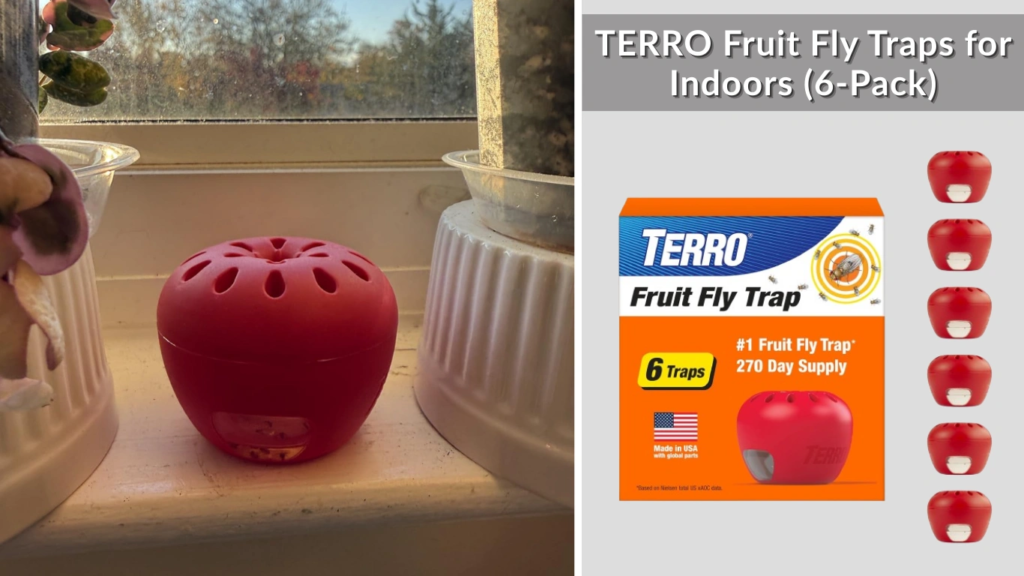 Terro Fruit Fly Traps for Indoors (6 Pack) + 270 Days of Lure Supply