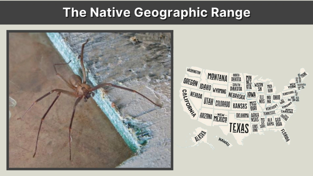 The Native Geographic Range