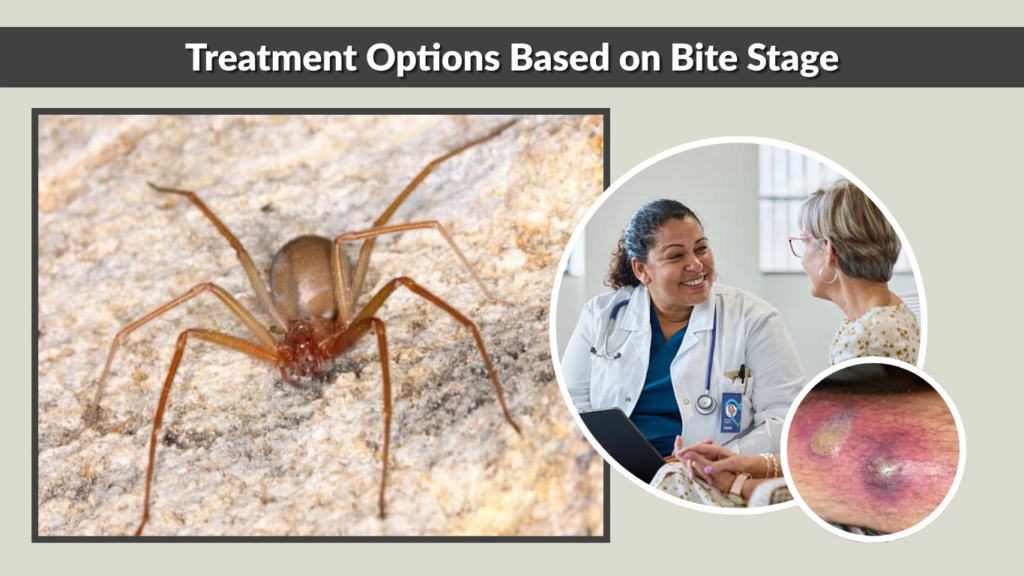 Treatment Options Based on Bite Stage