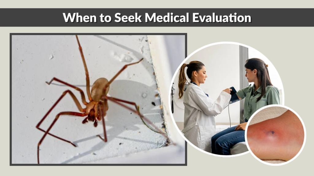 When to Seek Medical Evaluation