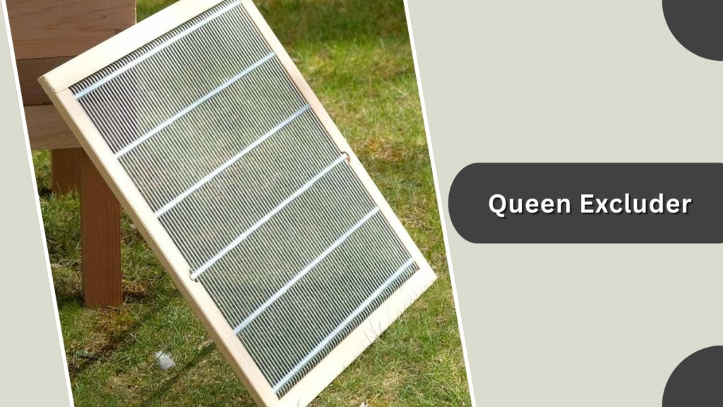 Queen Excluder