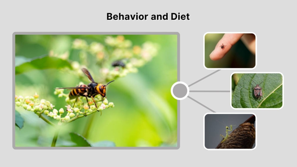Behavior and Diet