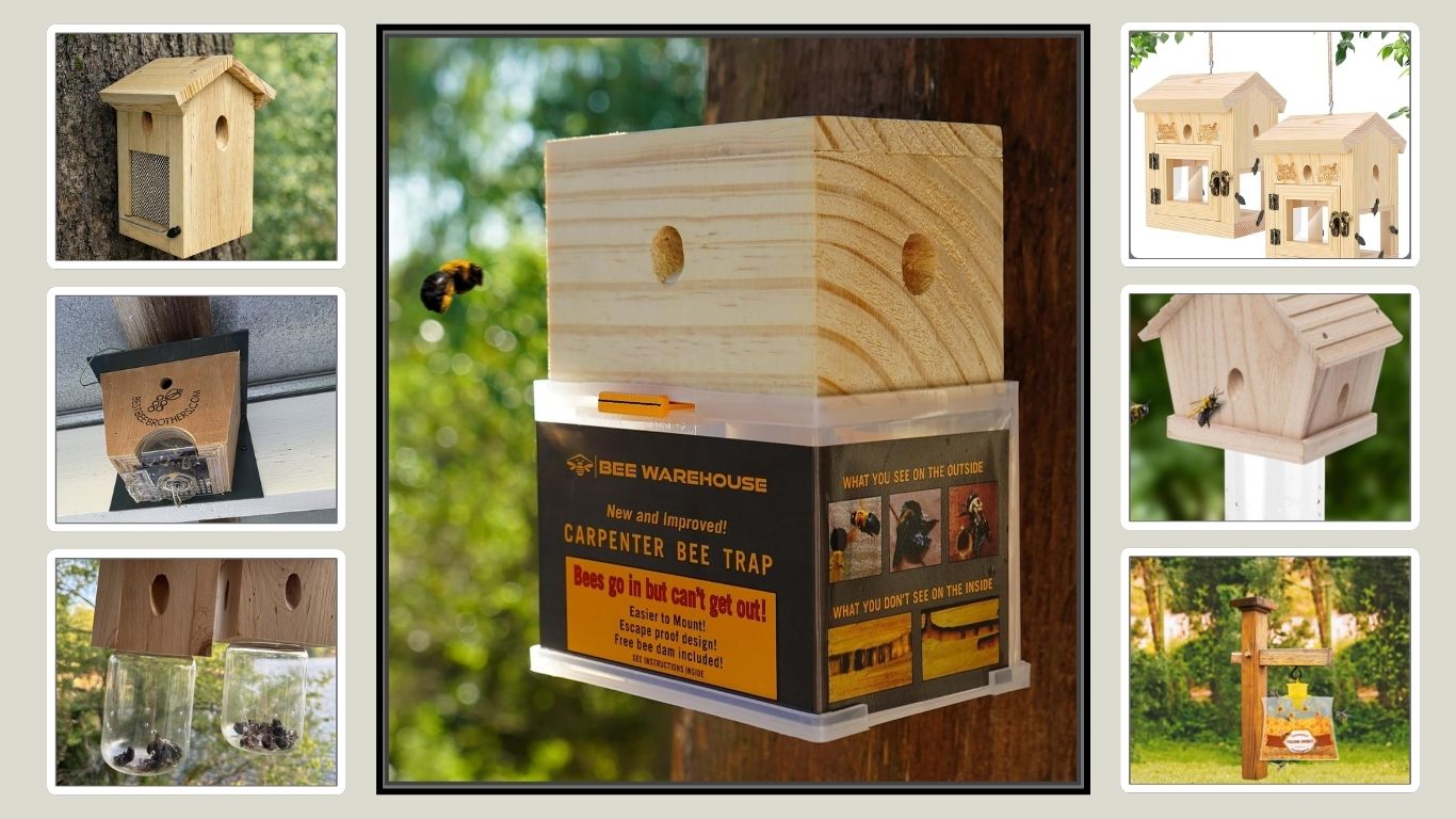10 Best Bee Traps for Outdoor Use (2026 Guide)