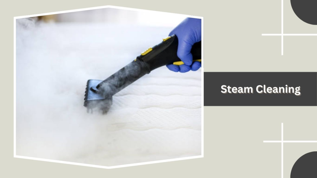 Steam Cleaning