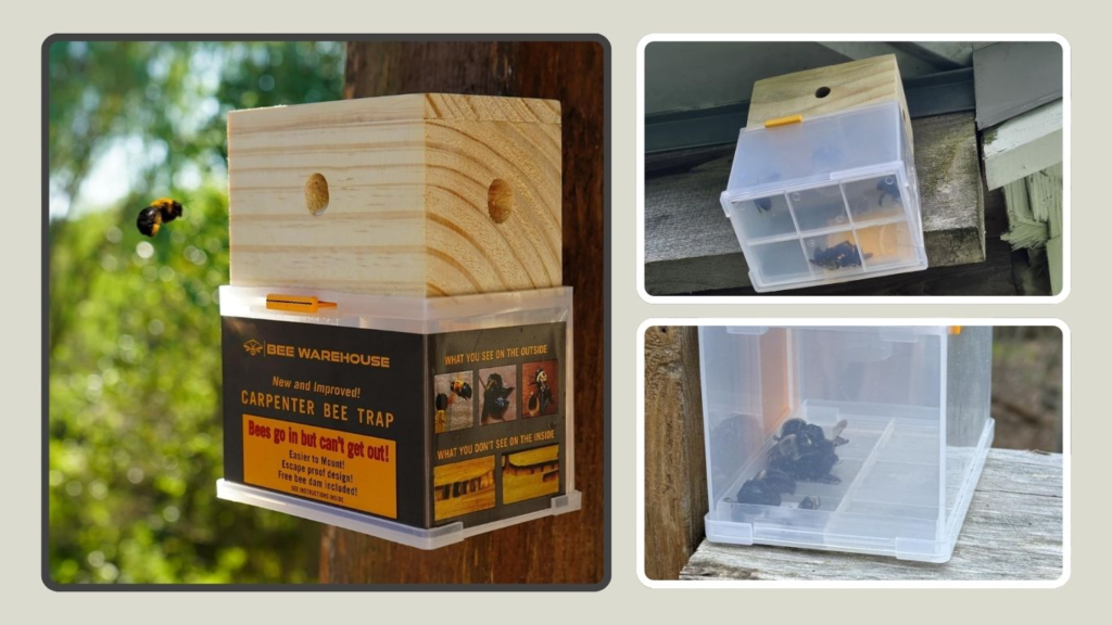 Bee Warehouse Carpenter Bee Trap Kit