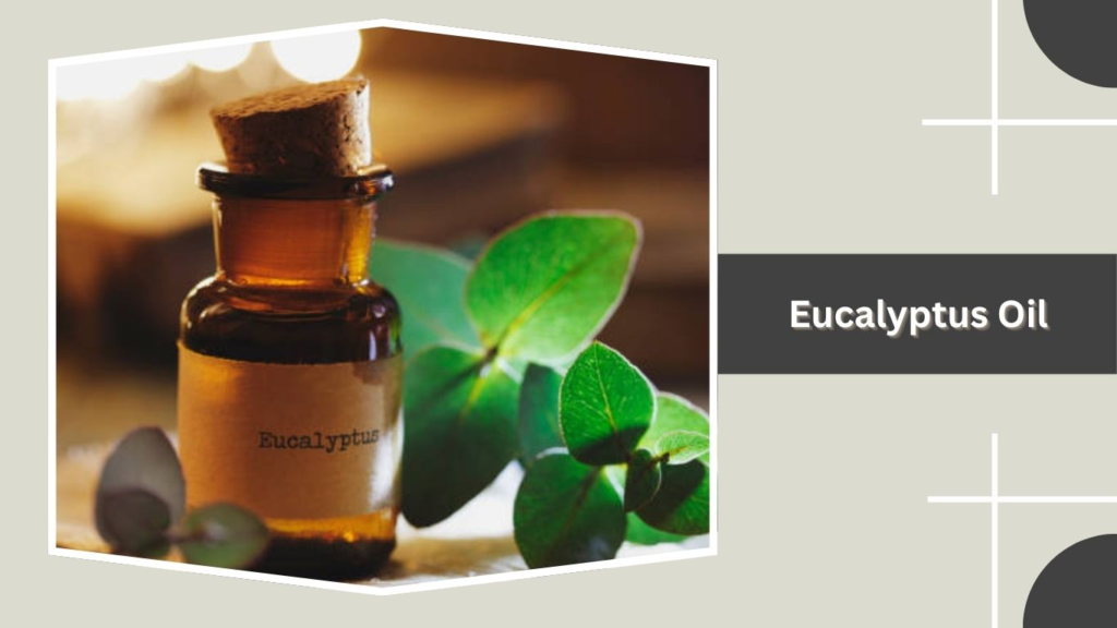 Eucalyptus Oil