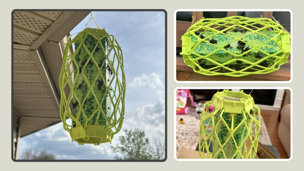 RESCUE! TrapStik for Wasps with Bird Guard