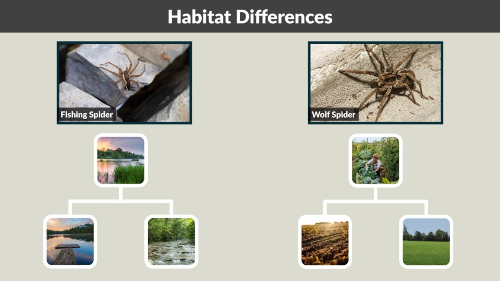 Habitat Differences