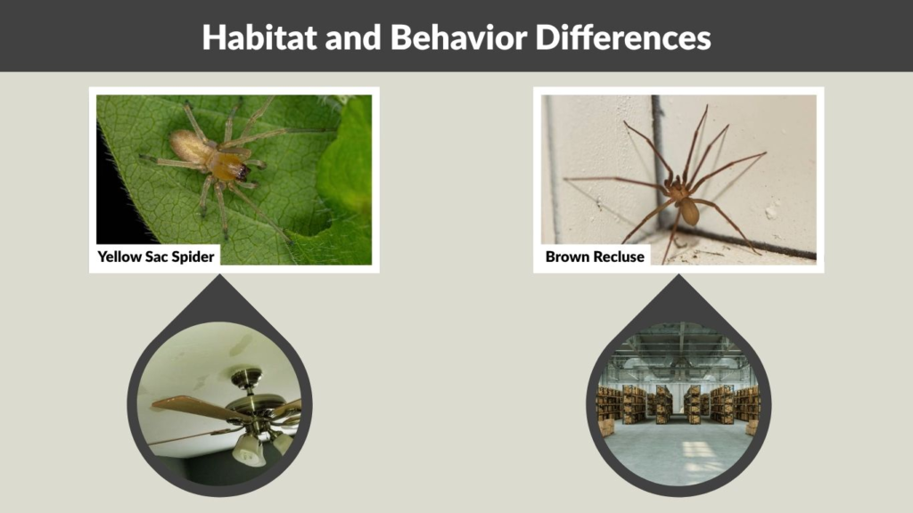 Habitat and Behavior Differences