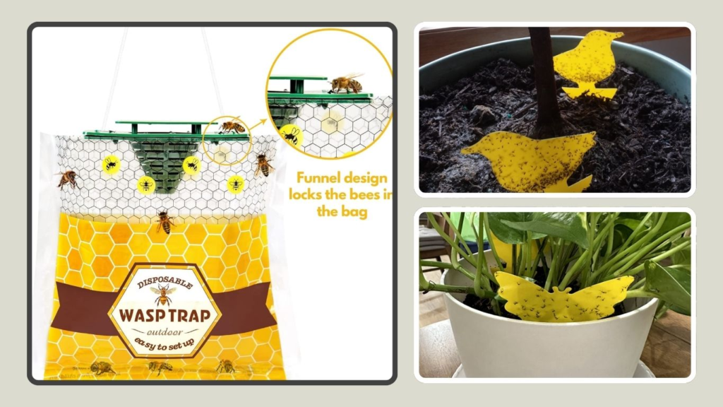 Disposable Outdoor Hanging Carpenter Bee Trap