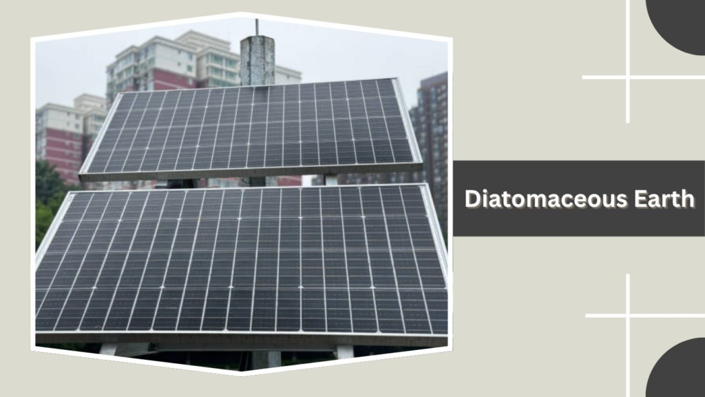 Diatomaceous Earth