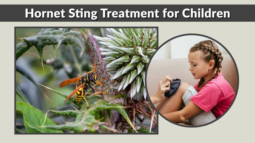 Hornet Sting Treatment for Children