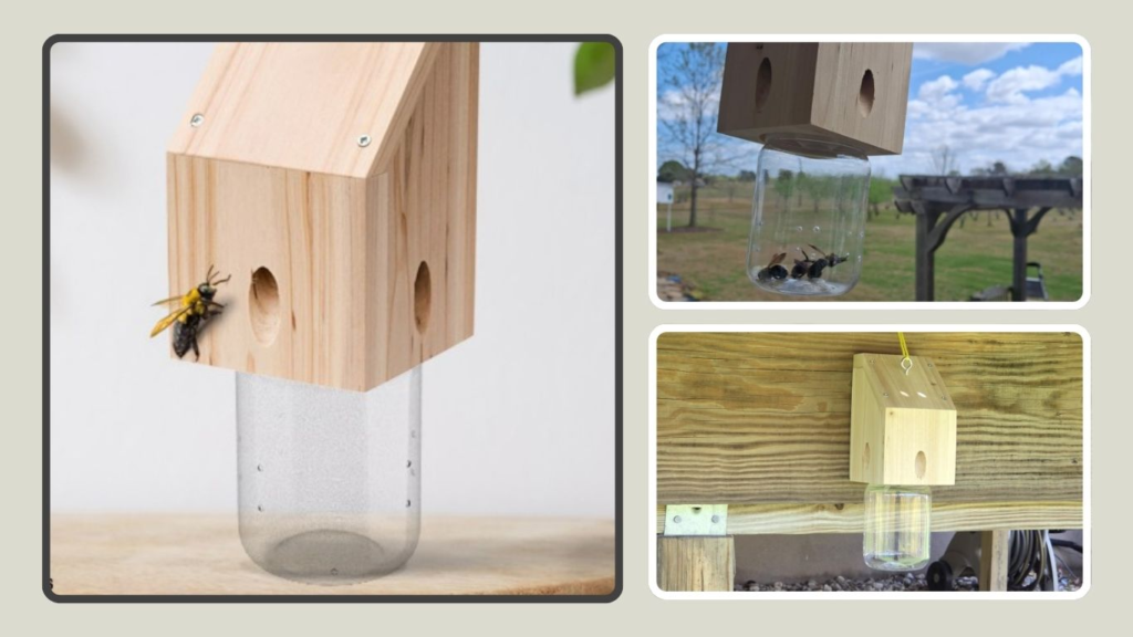 Carpenter Bee Trap with Removable Jar