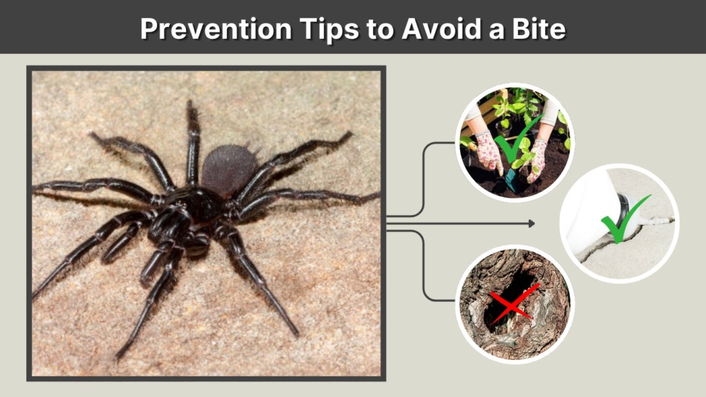 Prevention Tips to Avoid a Bite