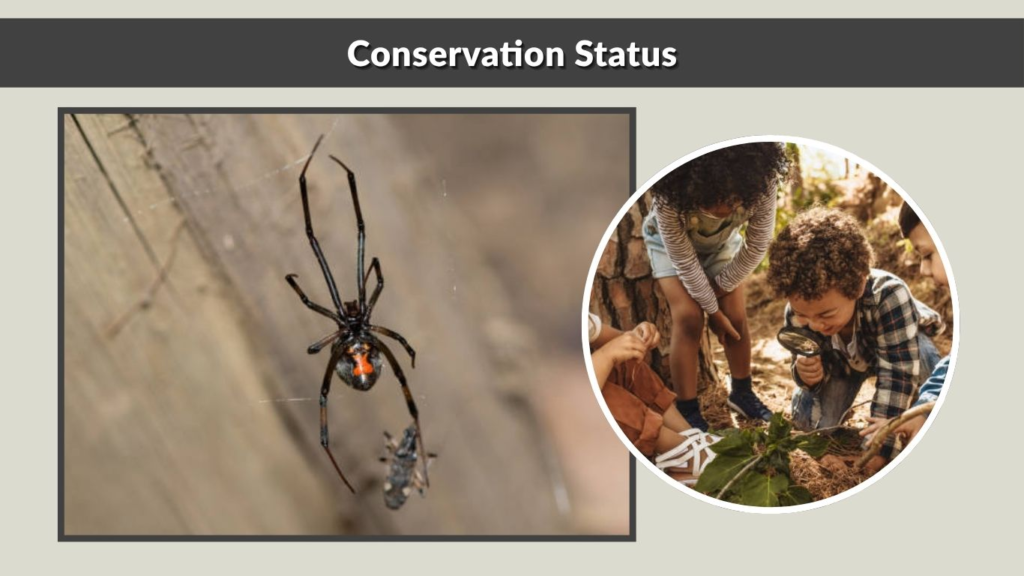 Conservation Status