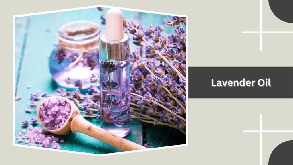 Lavender Oil