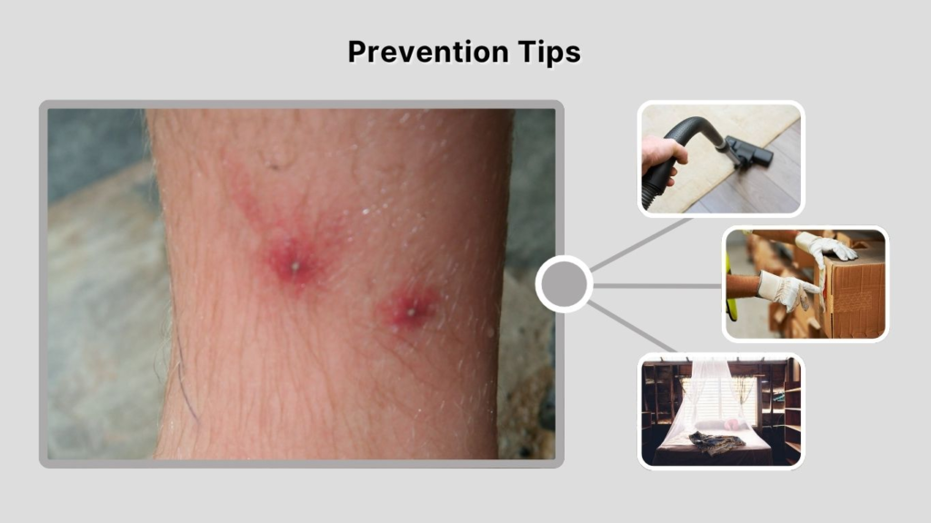 Prevention Tips