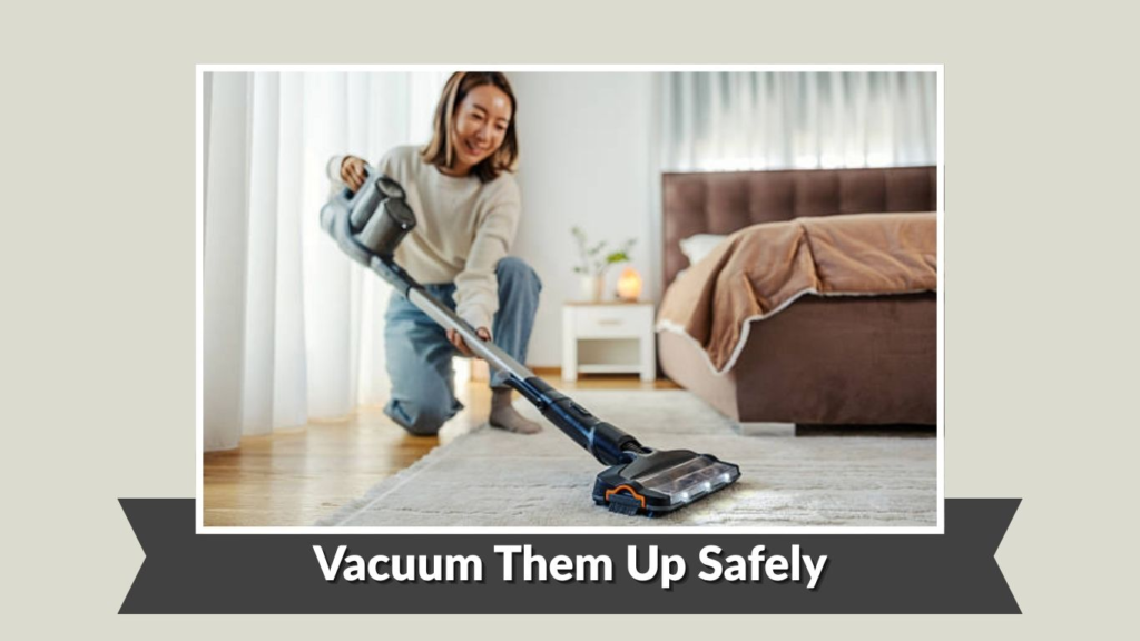 Vacuum Them Up Safely