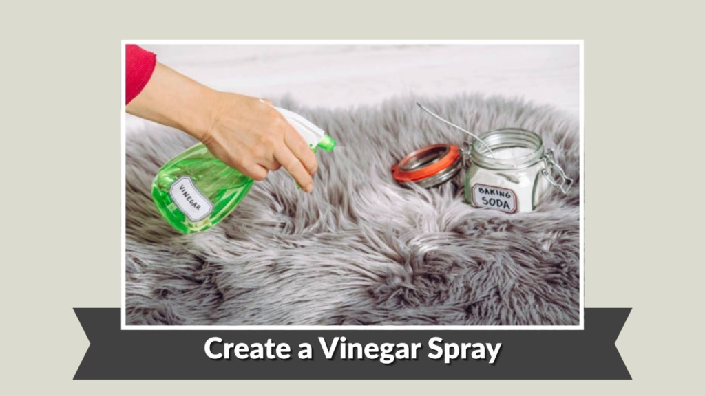 Create a Vinegar Spray