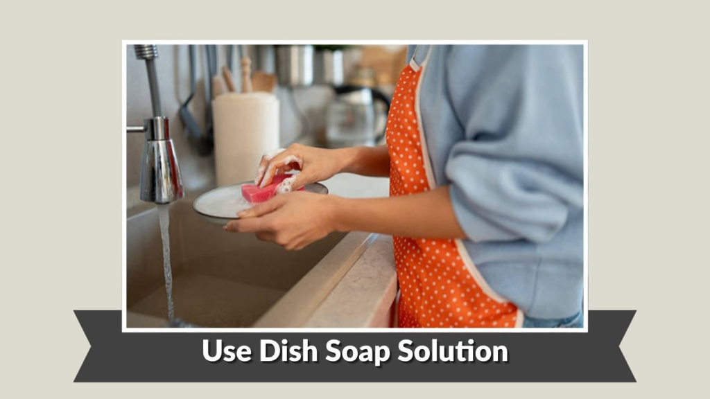 Use Dish Soap Solution